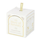 The Story of Serenity Coconut & Vanilla Candle